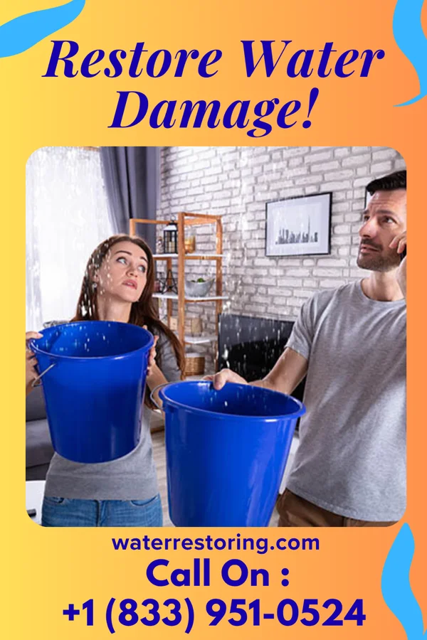 water restoration Direct Flood Recovery Pros Altha